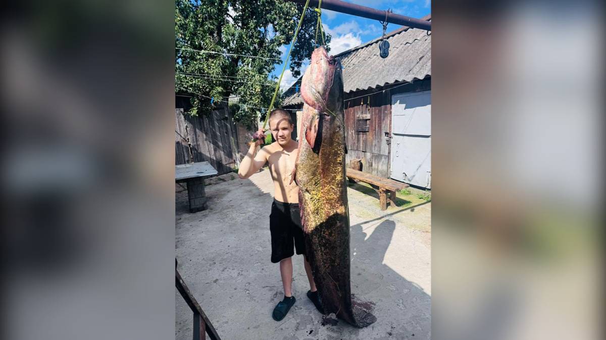 Житель Рогачева поймал двухметрового сома
