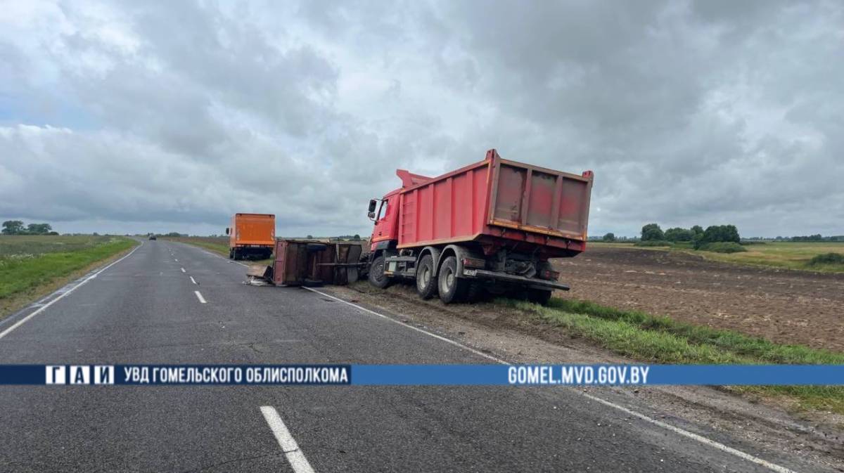 В Добрушском районе при столкновении грузовика и мотоблока пострадали два человекаВ Добрушском районе при столкновении грузовика и мотоблока пострадали два человека