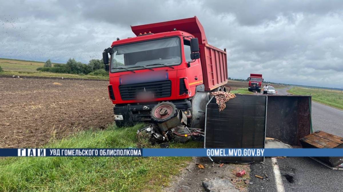 В Добрушском районе при столкновении грузовика и мотоблока пострадали два человекаВ Добрушском районе при столкновении грузовика и мотоблока пострадали два человека
