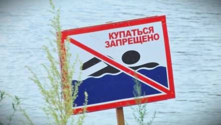 На трех пляжах Гомеля из-за кишечной палочки запретили и ограничили купание