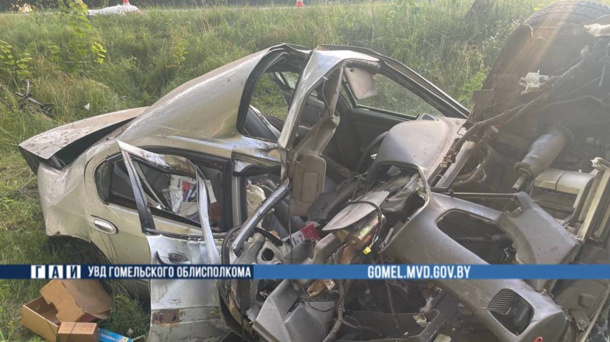 В Жлобинском районе в ДТП погиб водитель