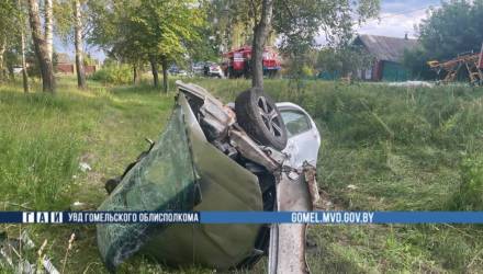 В Жлобинском районе в ДТП погиб водитель