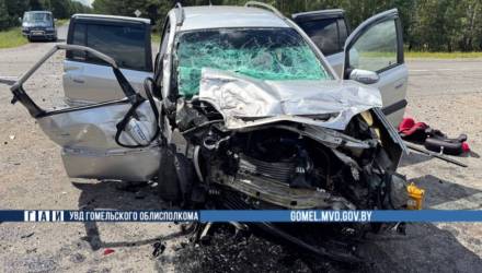 В Лоевском районе при столкновении МАЗа и Opel погиб мужчина