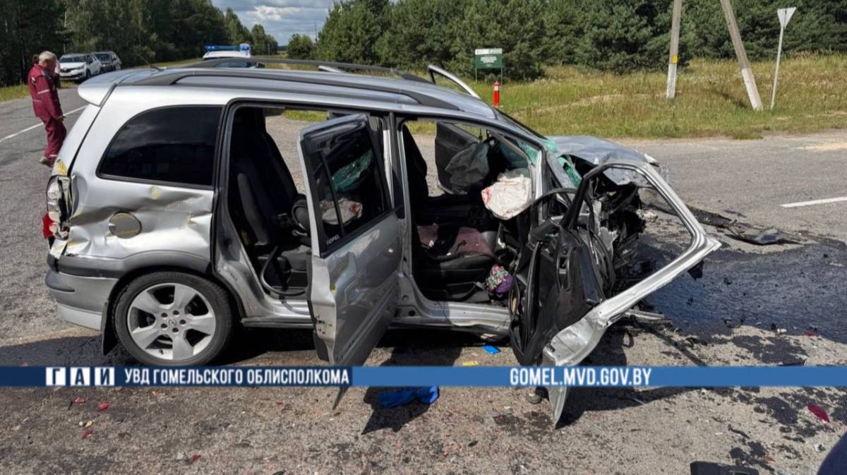 В Лоевском районе при столкновении МАЗа и Opel погиб мужчина