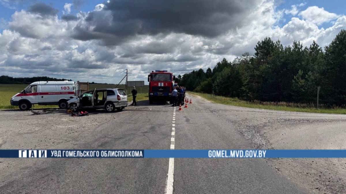 В Лоевском районе при столкновении МАЗа и Opel погиб мужчина