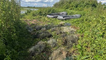 Днем отдыхали, а ночью добывали. Гомельчанин вовлек в браконьерскую схему несовершеннолетних