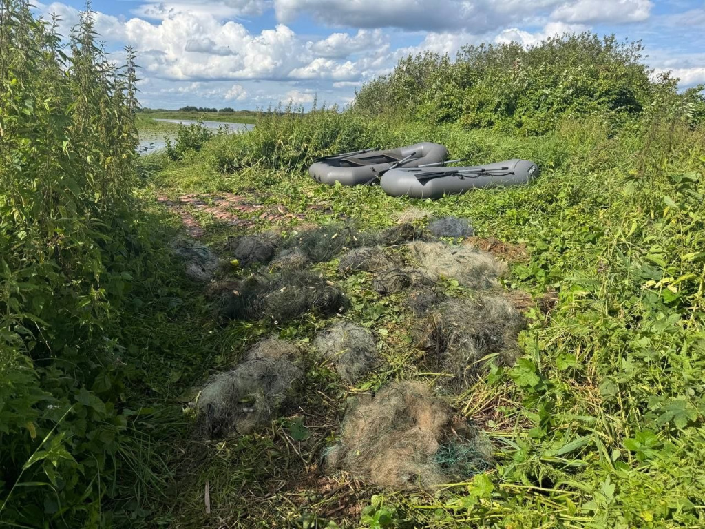 Днем отдыхали, а ночью добывали. Гомельчанин вовлек в браконьерскую схему несовершеннолетних