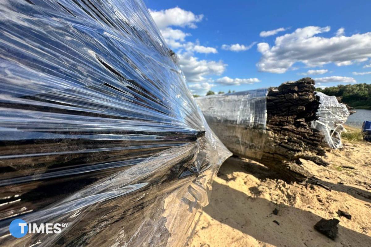 Шесть тысяч лет под водой. Под Гомелем со дна Сожа подняли 15-тонные мореные дубы