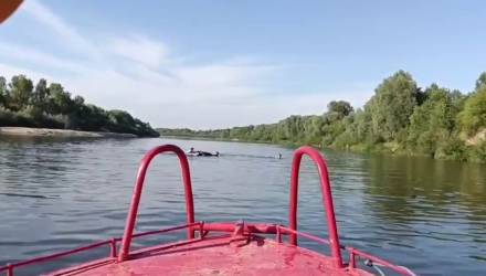 В Ветковском районе спасли дрейфовавшую по реке на матрасе компанию