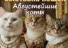 Мурчащий уик-энд. В Гомеле пройдет выставка кошек