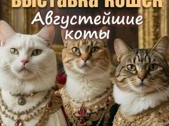 Мурчащий уик-энд. В Гомеле пройдет выставка кошек