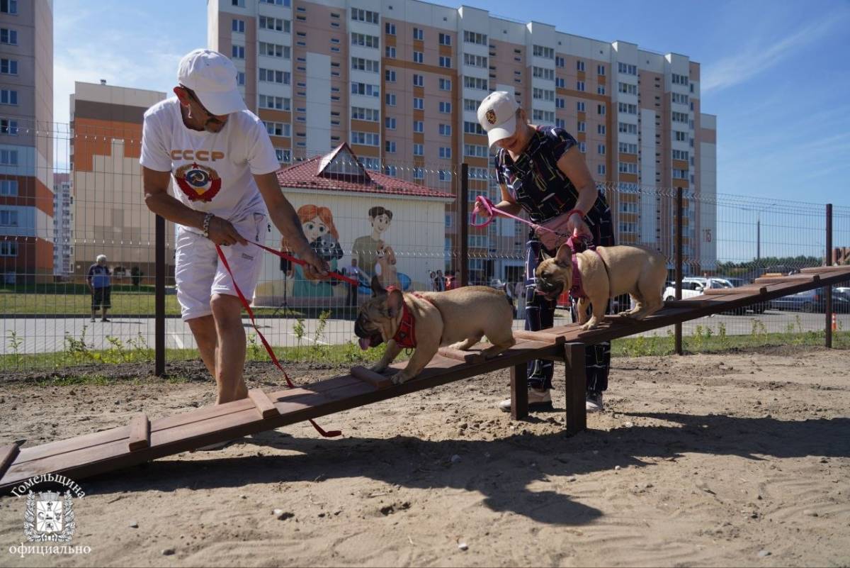 В Гомеле благодаря гражданским инициативам благоустроили зону отдыха и построили площадку для выгула животных