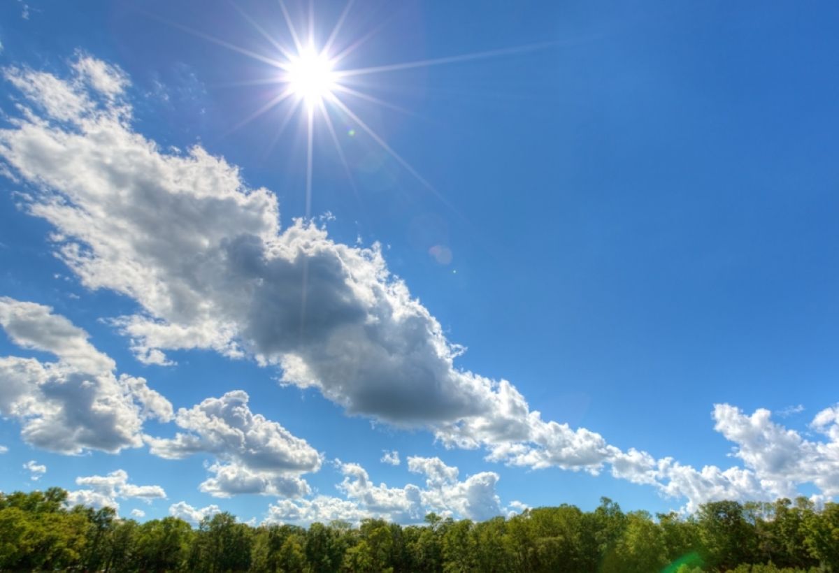 Теплый вторник в Гомеле: до +22°C, почти без дождя и без резких перемен