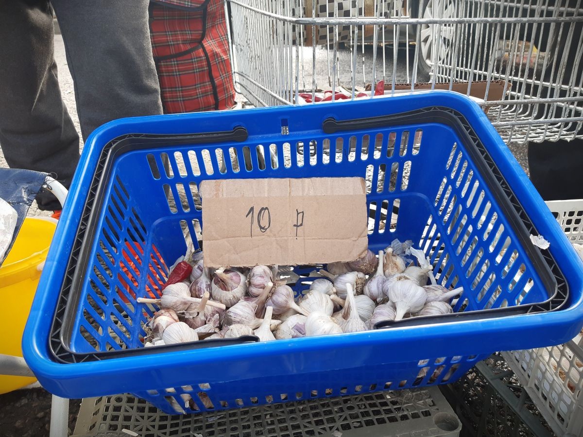 «Ловите карася, уйдет!» Репортаж с долгожданной сельхозярмарки