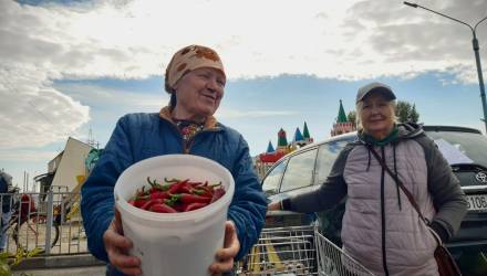 «Ловите карася, уйдет!» Репортаж с долгожданной сельхозярмарки
