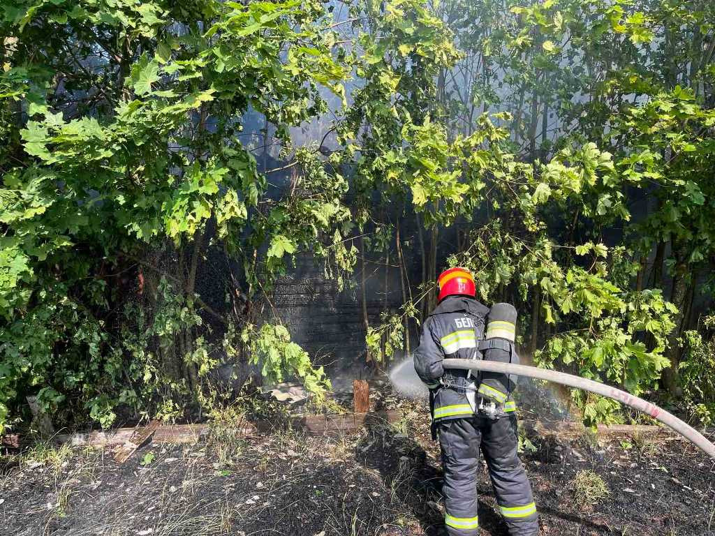 В Гомельской области из-за детской шалости сгорело 16 построек