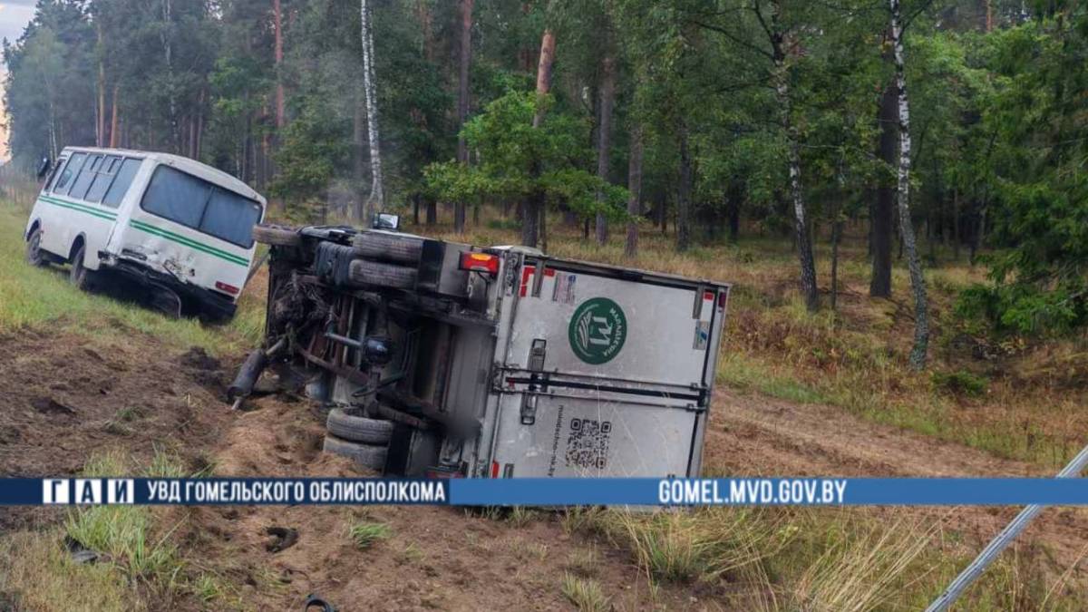 В Жлобинском районе водитель Iveco уснул за рулем и протаранил автобус