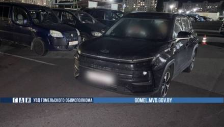 В Мозыре на парковке у дома сбили 4-летнего ребенка