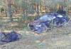 В Житковичском районе молодой водитель погиб, объезжая выскочившую на дорогу собаку