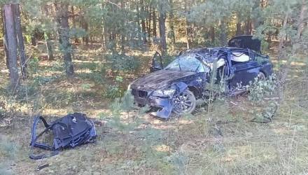 В Житковичском районе молодой водитель погиб, объезжая выскочившую на дорогу собаку