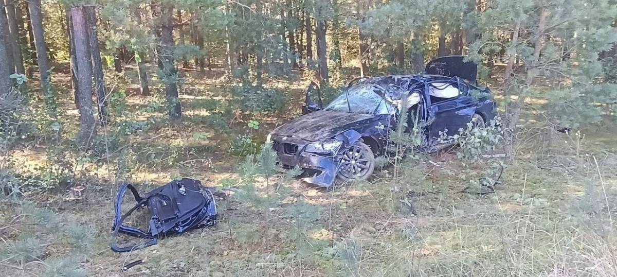В Житковичском районе молодой водитель погиб, объезжая выскочившую на дорогу собаку