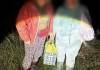За сутки на Гомельщине потерялись трое грибников