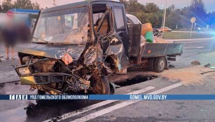 Под Добрушем фура не пропустила автофургон