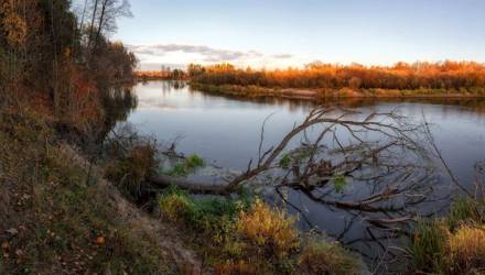 На реках Гомельской области из-за осадков растут уровни воды