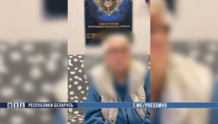 В Гомеле мошенники едва не лишили пенсионерку квартиры