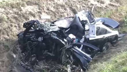 На Гомельщине лось внезапно выбежал на дорогу — двое в больнице