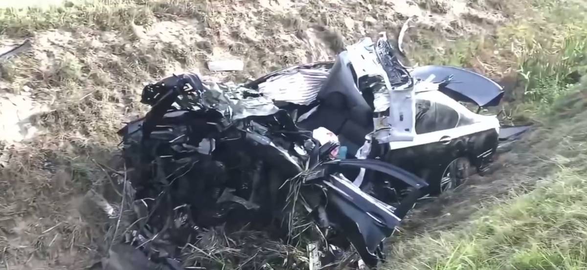 На Гомельщине лось внезапно выбежал на дорогу — двое в больнице