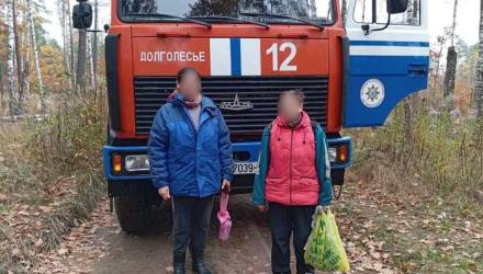 В лесу возле деревни Цыкуны нашли двух потерявшихся женщин