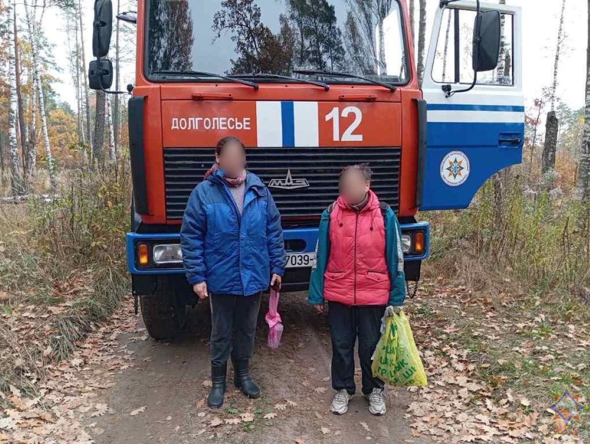 В лесу возле деревни Цыкуны нашли двух потерявшихся женщин