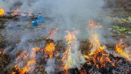 В Гомеле женщина получила ожоги при сжигании мусора