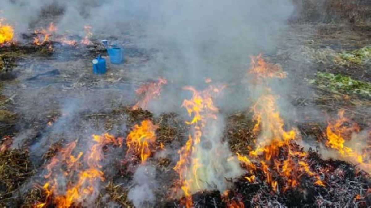В Гомеле женщина получила ожоги при сжигании мусора