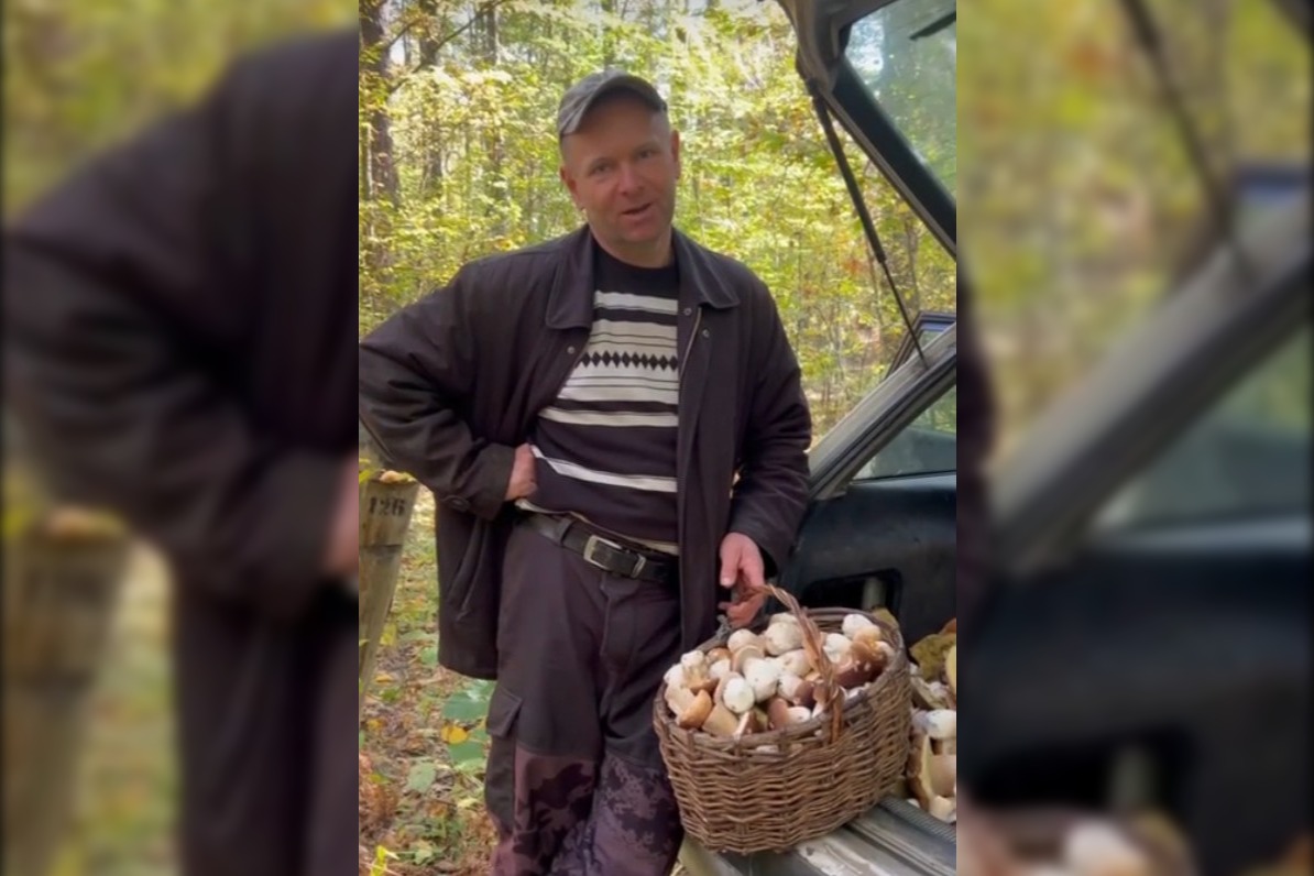 Полный багажник белых. Гомельский грибник раскрыл секретное место