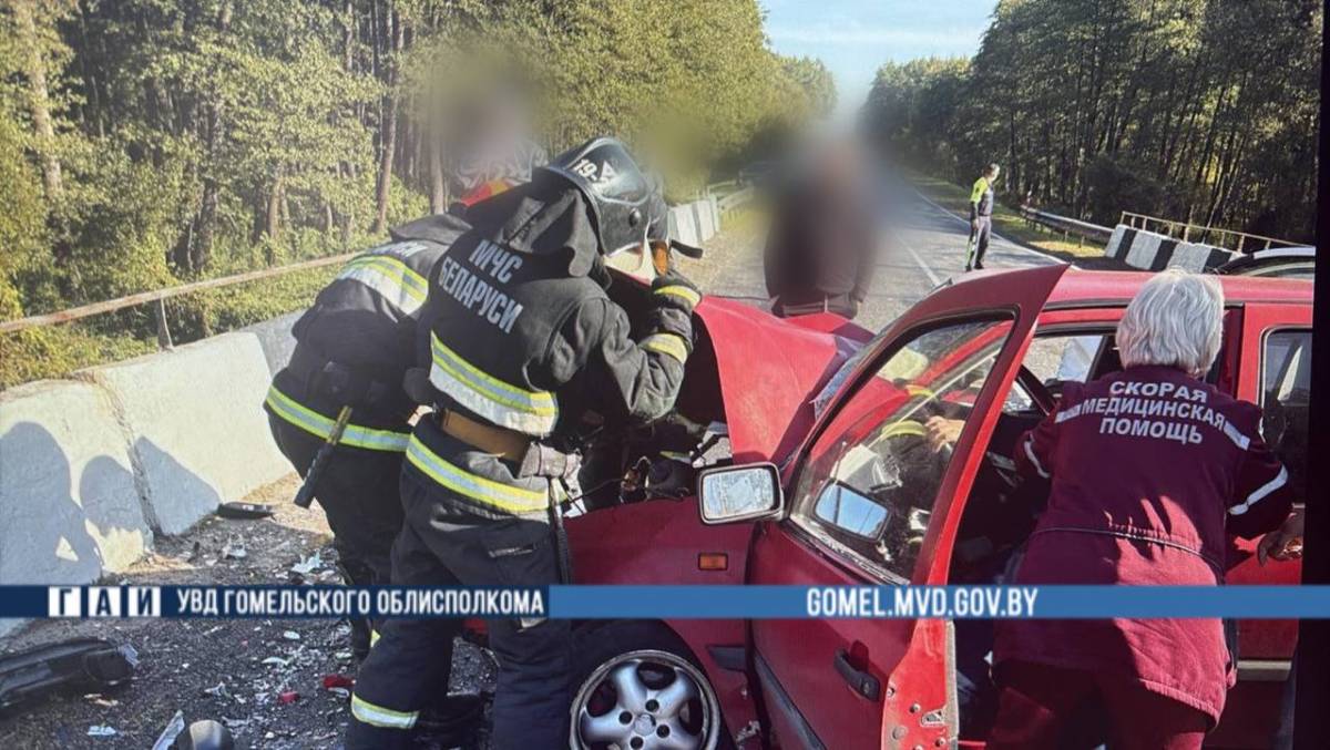 В Рогачевском районе в лобовом ДТП пострадали четыре человека, среди них двое детей