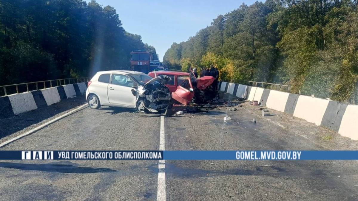 В Рогачевском районе в лобовом ДТП пострадали четыре человека, среди них двое детей