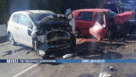 В Рогачевском районе в лобовом ДТП пострадали четыре человека, среди них двое детей