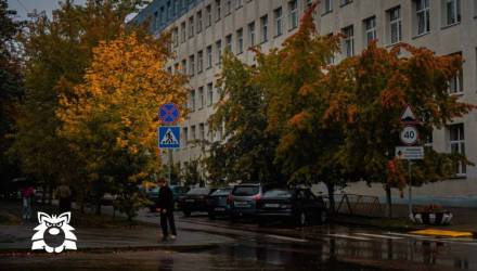 Прогноз погоды в Гомеле на 12 октября