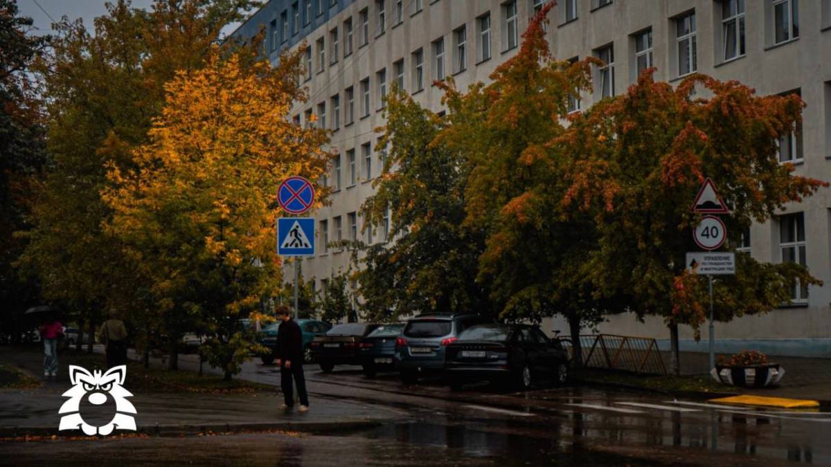Прогноз погоды в Гомеле на 12 октября