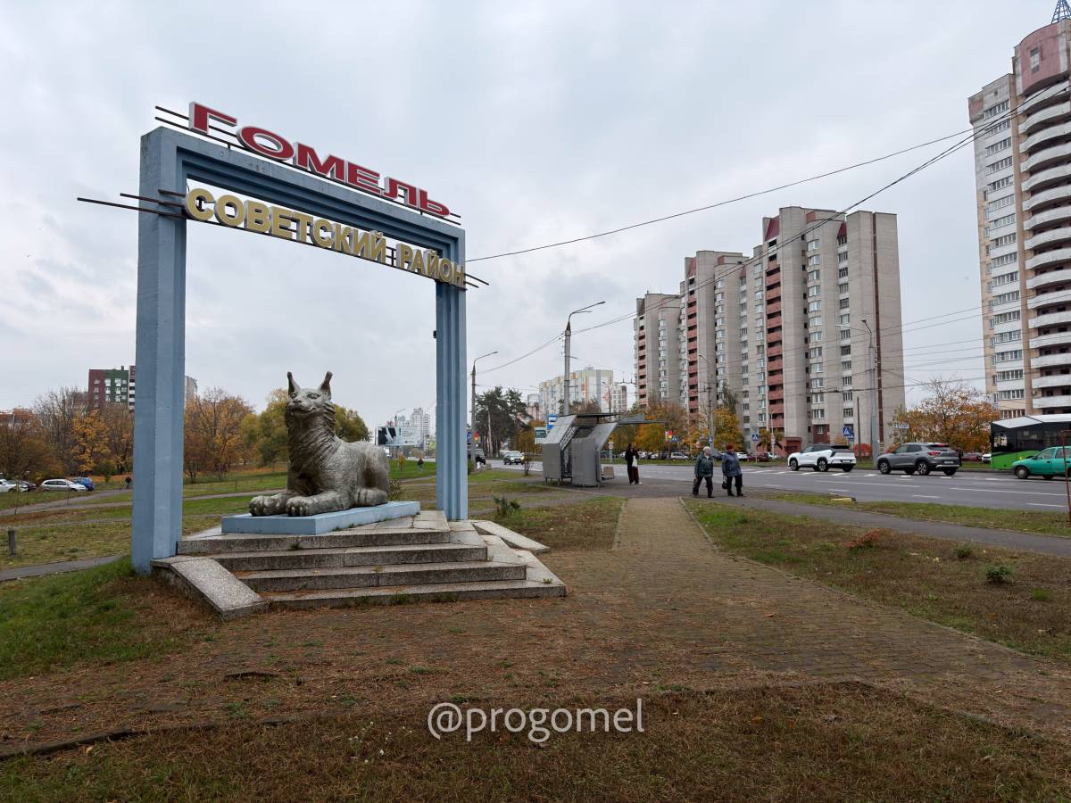 Турист в собственном городе. Изучаем Гомель из окна троллейбуса