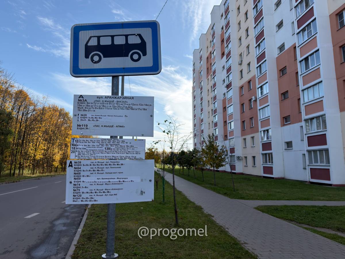 Турист в собственном городе. Изучаем Гомель из окна троллейбуса