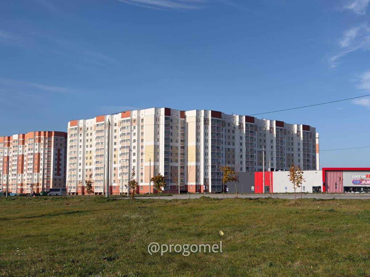 Турист в собственном городе. Изучаем Гомель из окна троллейбуса