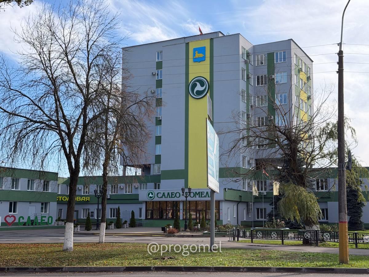 Турист в собственном городе. Изучаем Гомель из окна троллейбуса