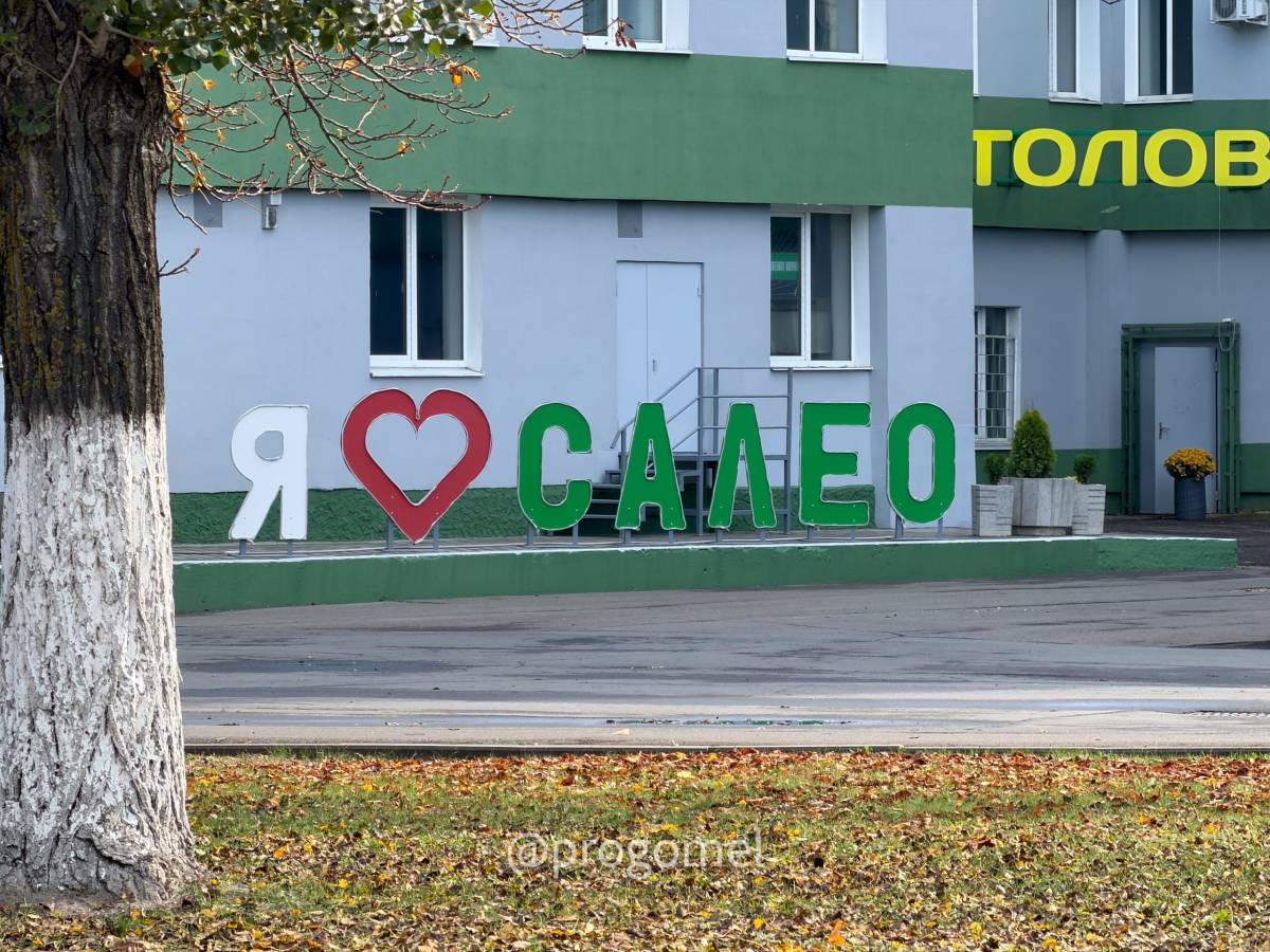 Турист в собственном городе. Изучаем Гомель из окна троллейбуса