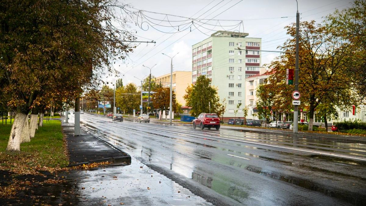 Прогноз погоды в Гомеле на 29 октября