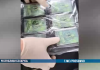 Жителя Гомельской области задержали с тремя килограммами гашиша