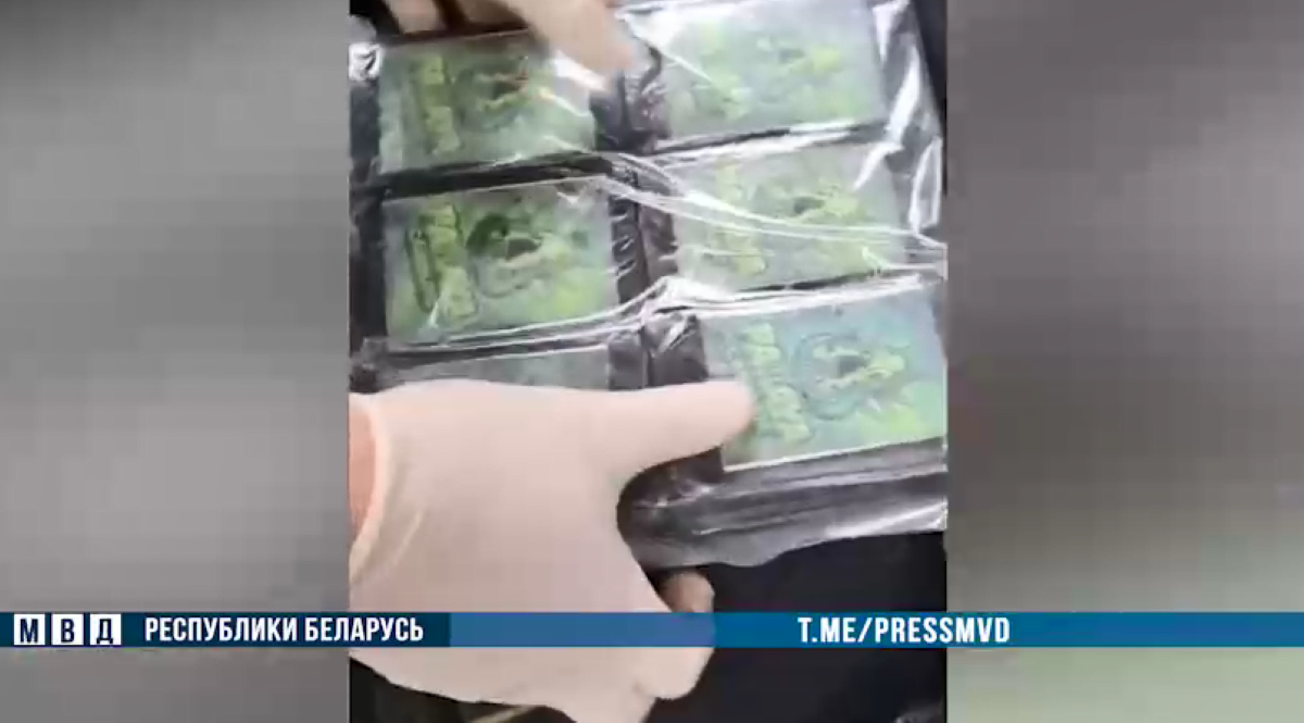 Жителя Гомельской области задержали с тремя килограммами гашиша