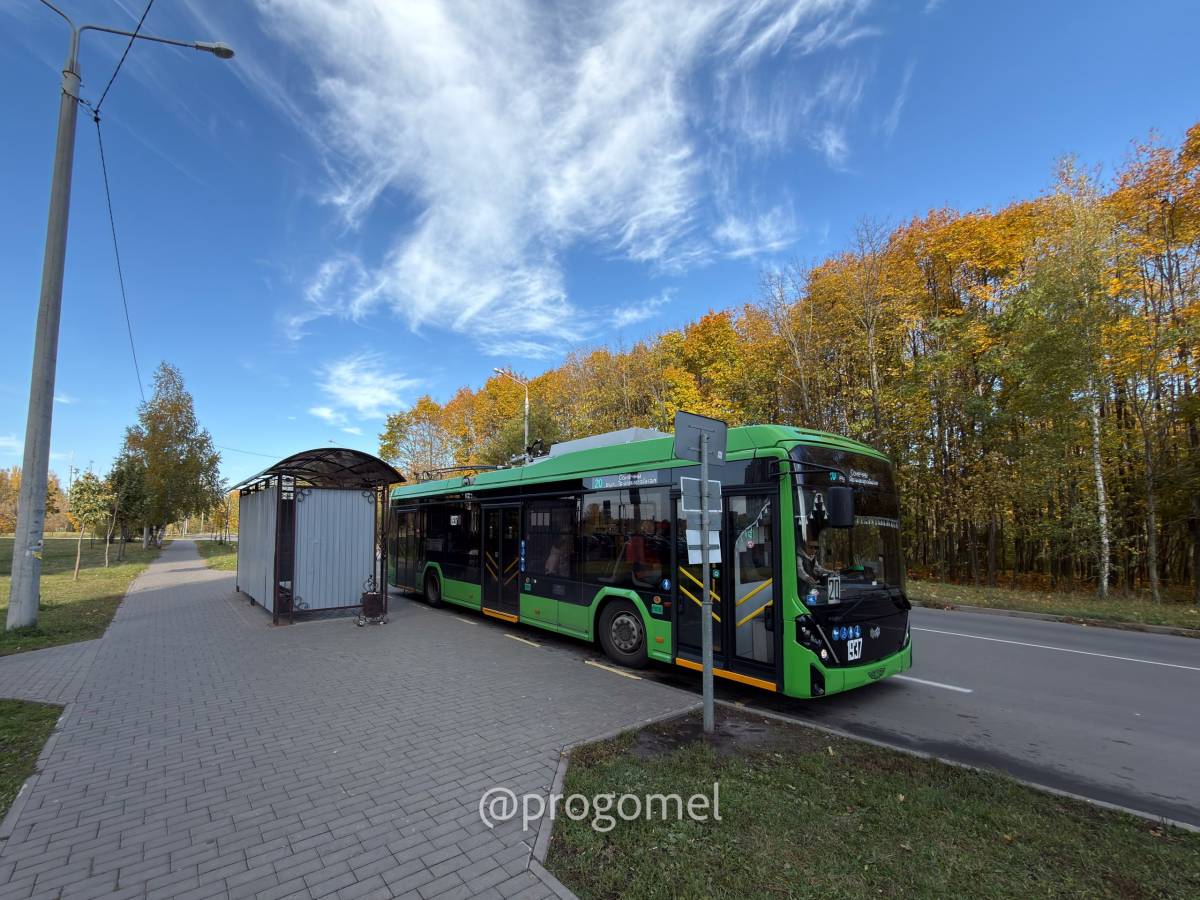 В Гомеле на неделю отменят несколько рейсов общественного транспорта